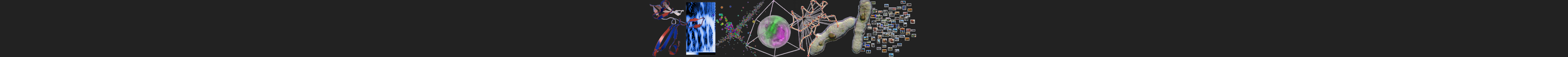 Biocomputing Research Lab banner